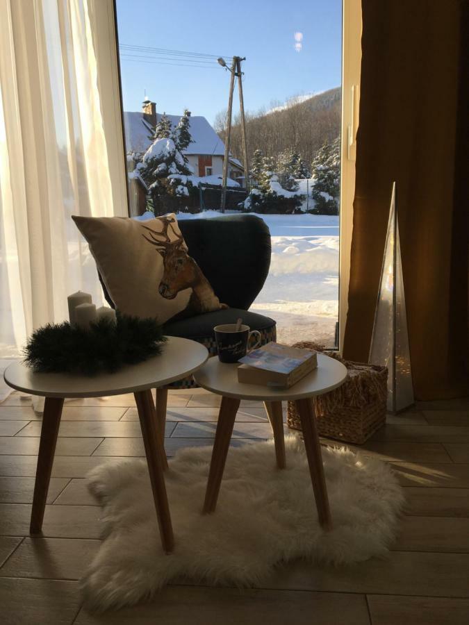 Mountain Szczyrk Apart Bratkow 10A Экстерьер фото